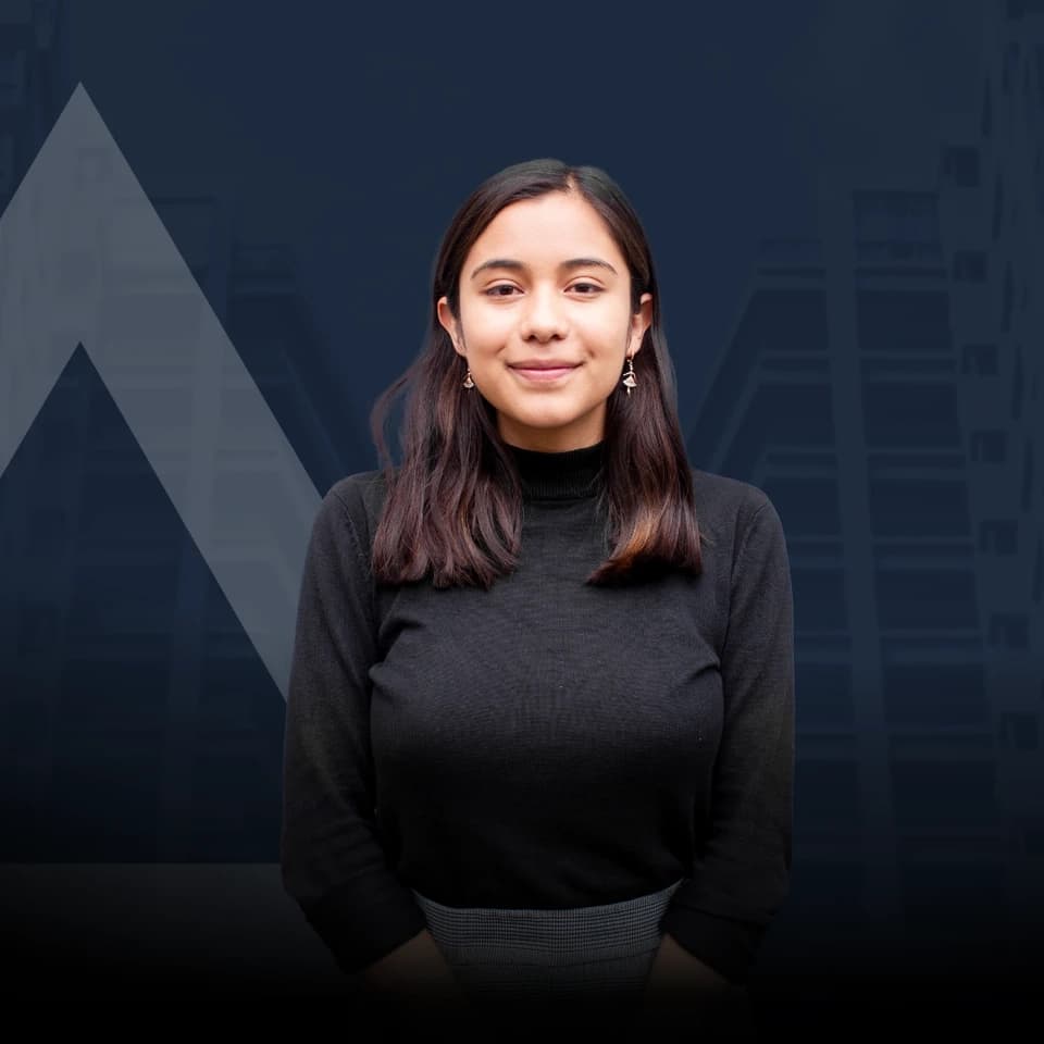 Violeta, Proyectos Inmobiliarios
