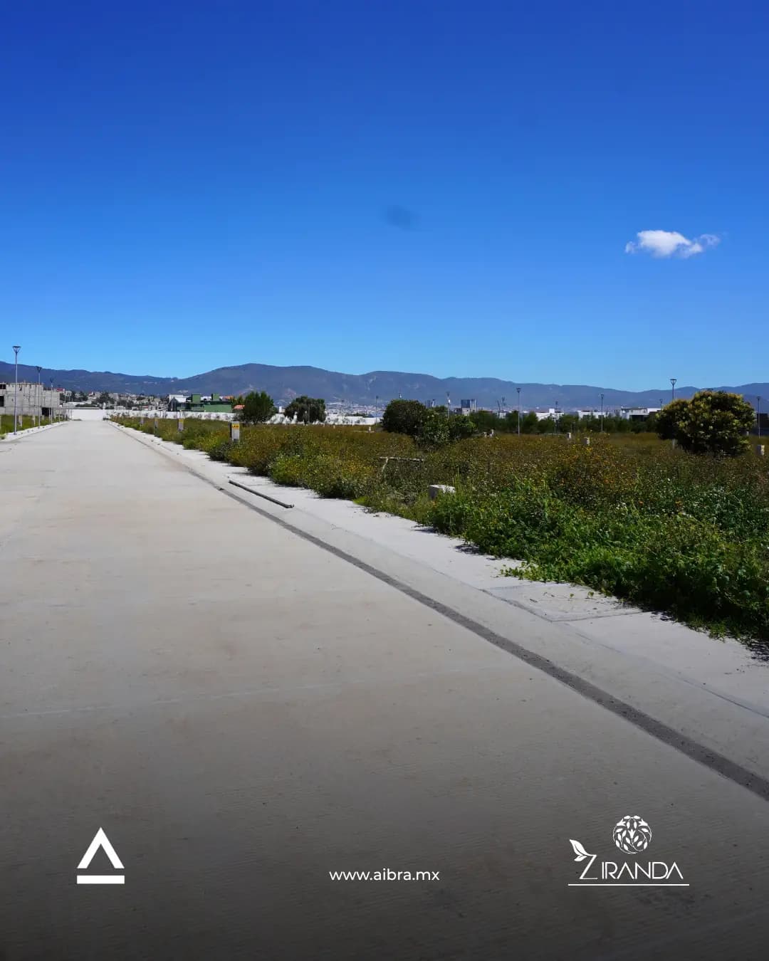 Alumbrado y vialidades