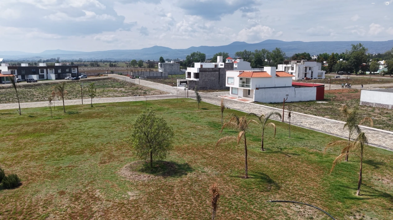 Zona boscosa de convivencia